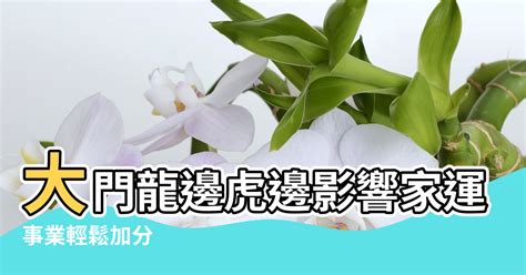 龍邊撞壁化解|居家風水之大門風水